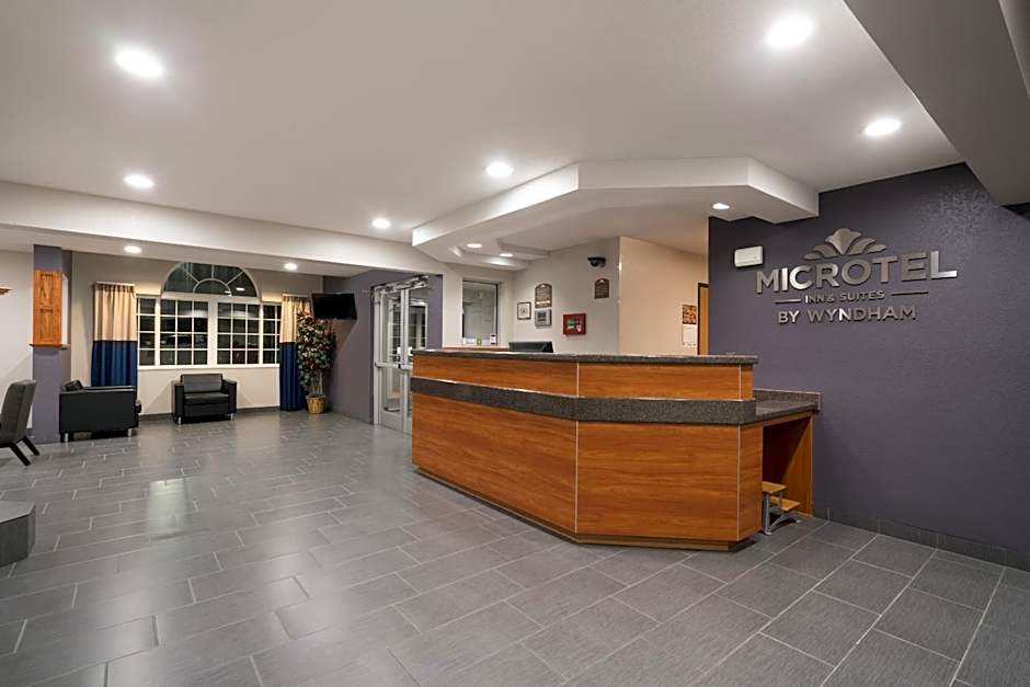 Microtel Inn & Suites By Wyndham Springfield