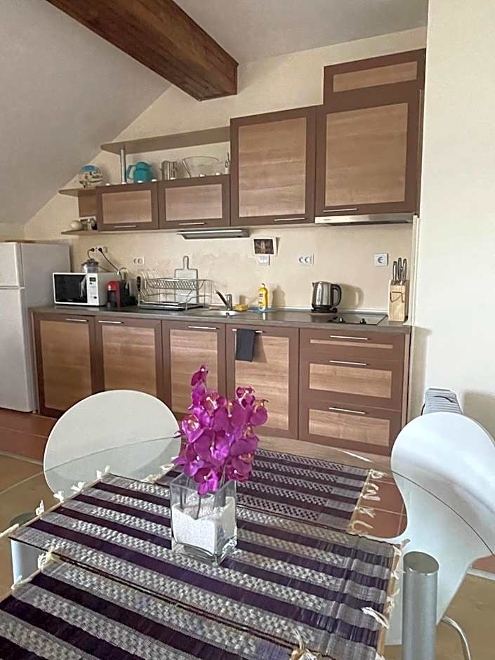 Cozy Mountain Apartment