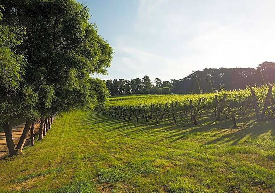 Lancemore Lindenderry Red Hill