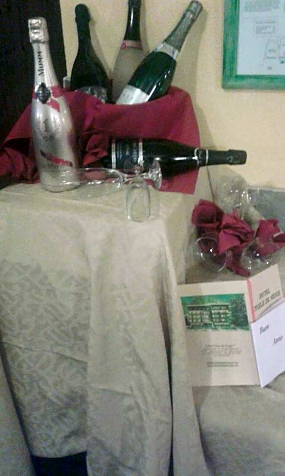 Hotel Etoile De Neige