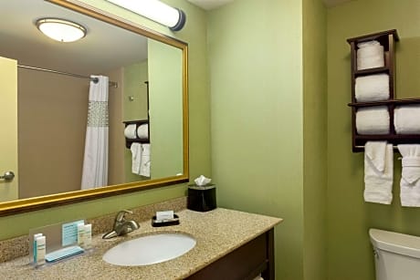 1 King Bed Nonsmoking