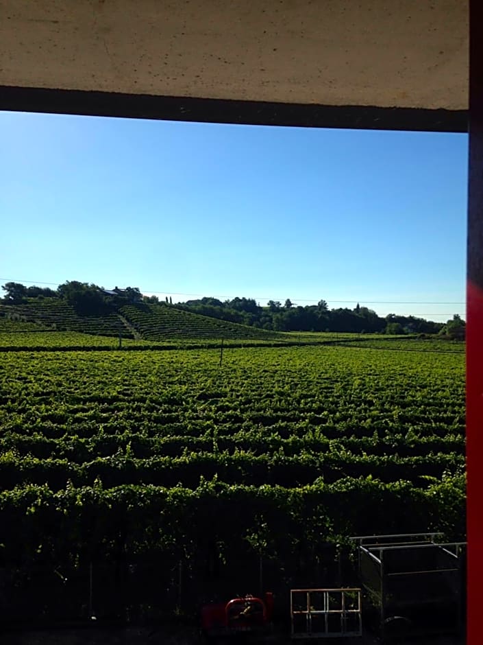 B&B Zanin di Zanin Mauro