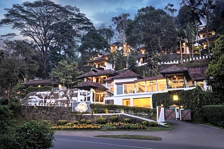 Forest Canopy Resort