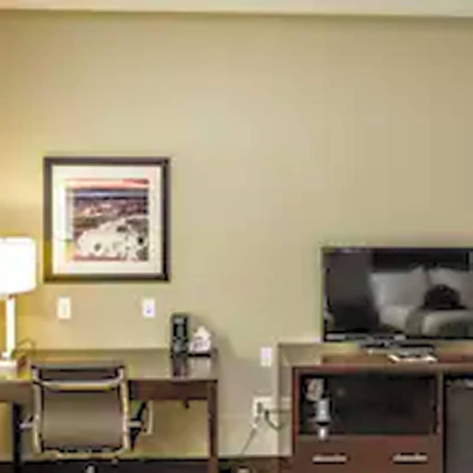 Holiday Inn Express & Suites Cheektowaga North East By IHG