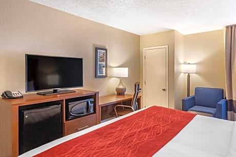 King Room - Disability Access/Non-Smoking