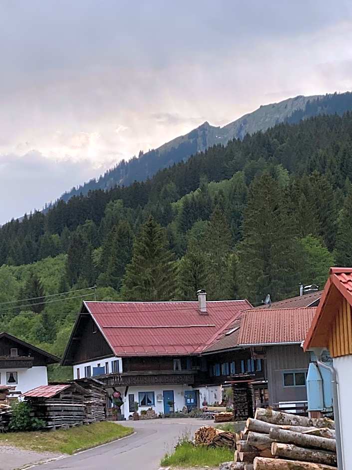 Nagelfluhhaus Hirsch