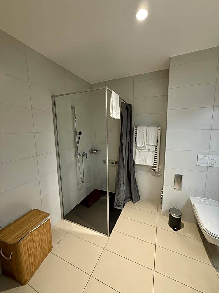 Alp Art Hotel Monthey