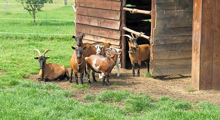B&B Au fil des saisons sur la Wiels