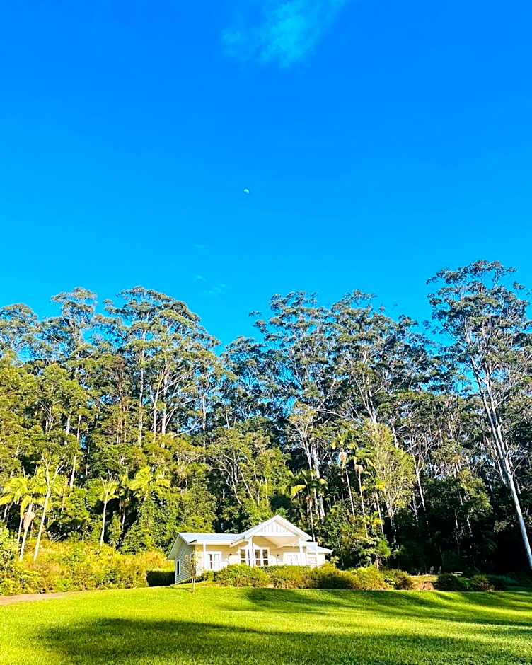 Nightcap Ridge - Byron Bay Hinterland