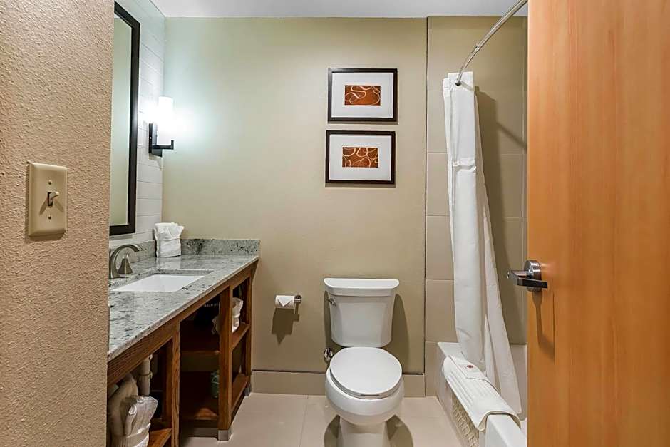 Comfort Suites University