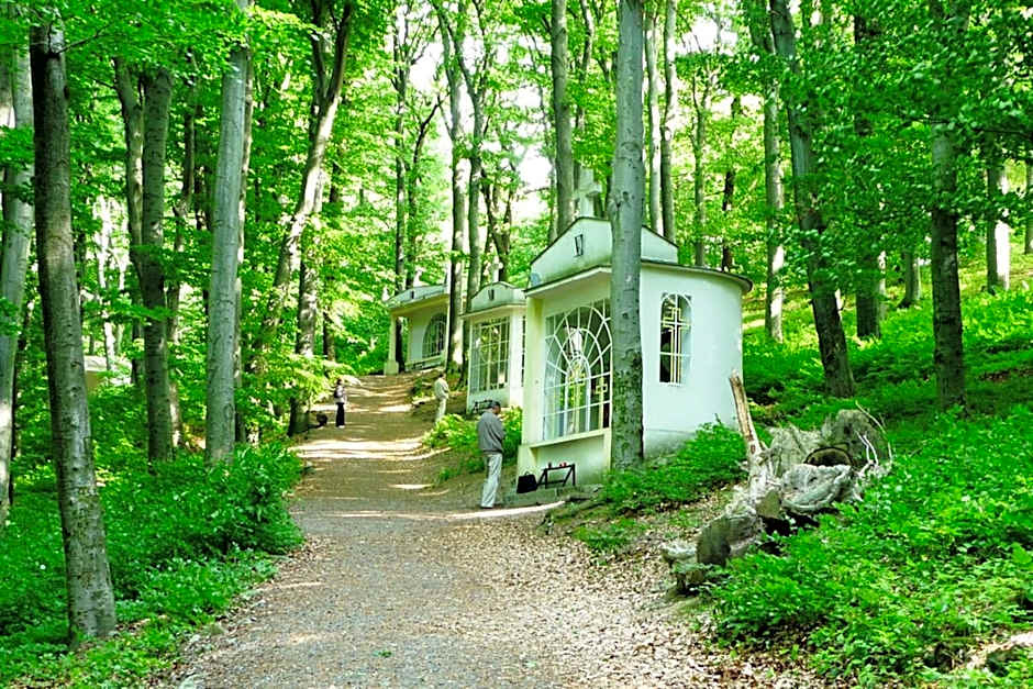 Spa & Pool Apartments Prestige VILLA IVICA