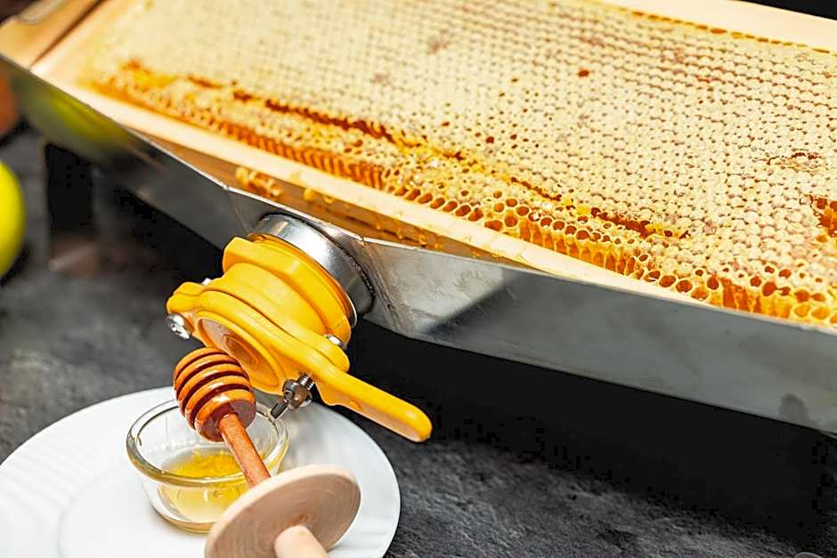 Le Grand Aigle Hotel & Spa****