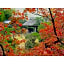 Dogo Onsen Funaya - Vacation STAY 54201v
