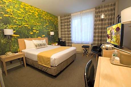 Deluxe Queen Room