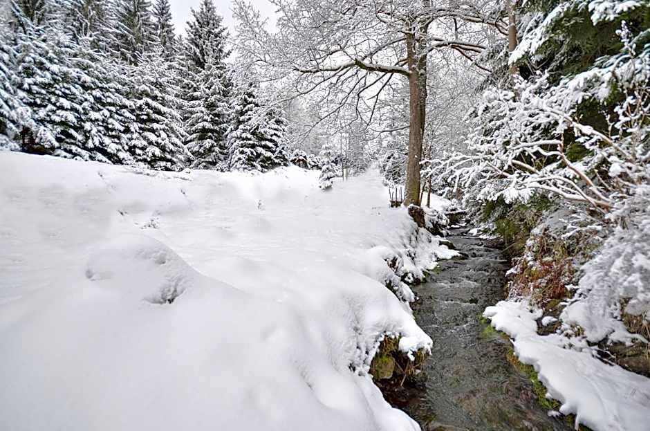 Rezidence GreenHill ⃰ ⃰ ⃰