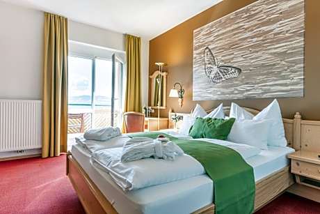 Panorama Double Room with Mountain View