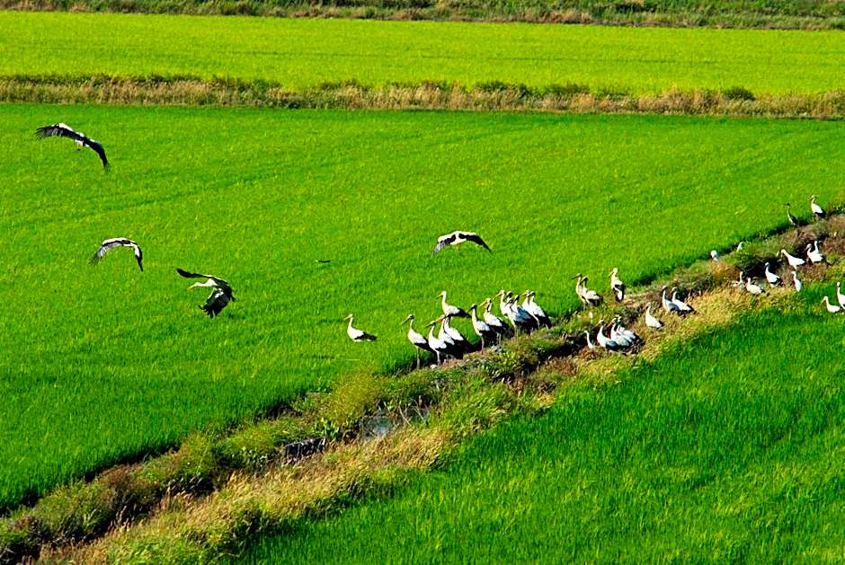 Sublime Comporta Country Retreat & SPA