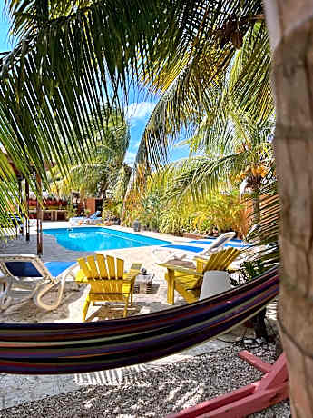 Oasis guesthouse, Boutique Style Hotel