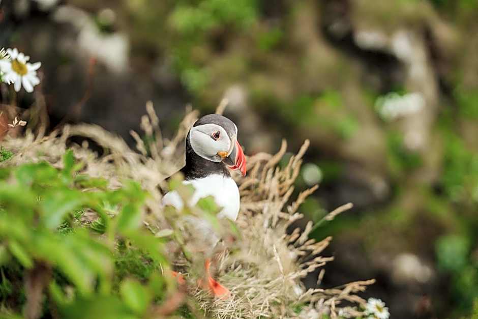 Isle Of Mull Hotel and Spa