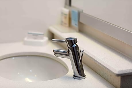 1 Queen Mobility Access Tub Studio Nosmok