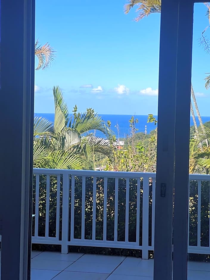 Seaview Manor Exquisite Bed & Breakfast