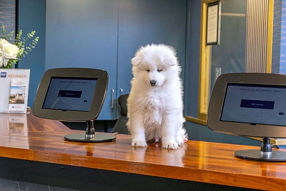 Hotel St Pierre, Sure Hotel Collection by Best Western