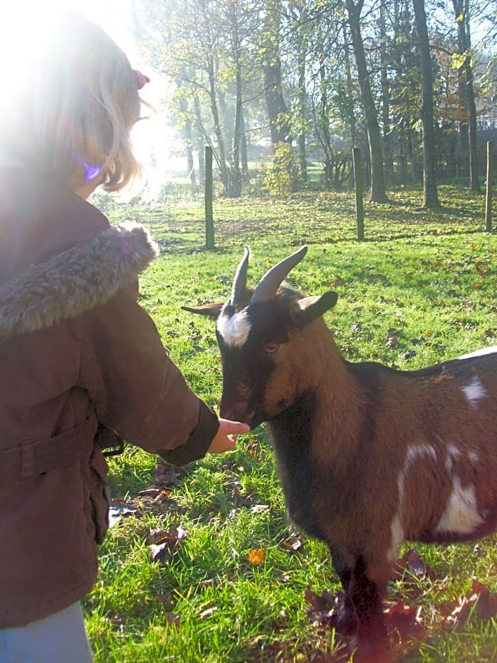 Chambres et Table d'Hôtes Les Trois Marquets