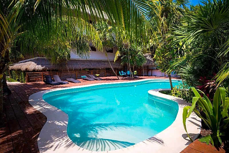 Tropical Suites by Mij