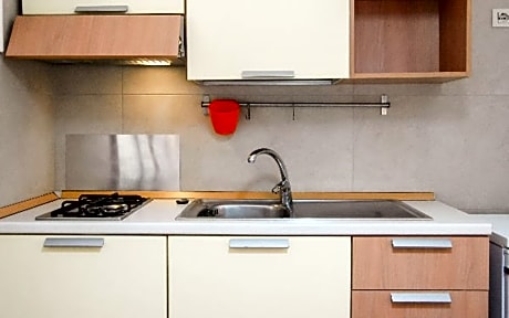 Studio Apartment (pet allowed with extra fee)