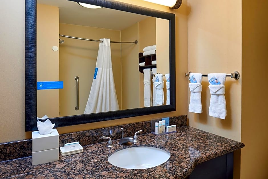 Hampton Inn & Suites Austin South Buda