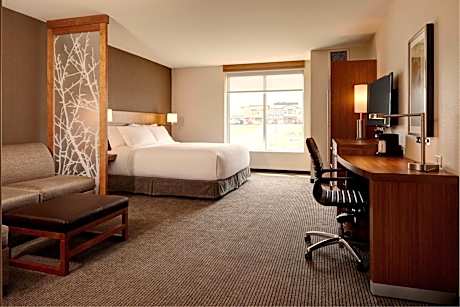 King Room with Sofa Bed and Roll-In Shower - Disability Access