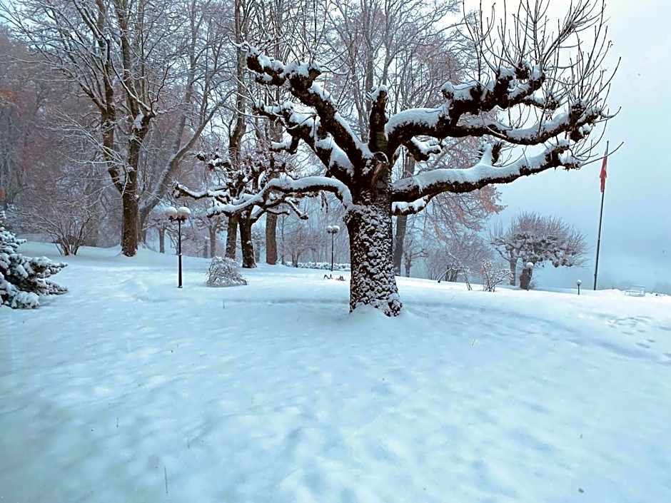 Beatenberg Resort & Spa in Beatenberg Interlaken