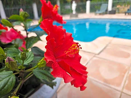 Les jardins du Patriarche Hôtel