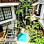 Gringo Bill's Boutique Hotel