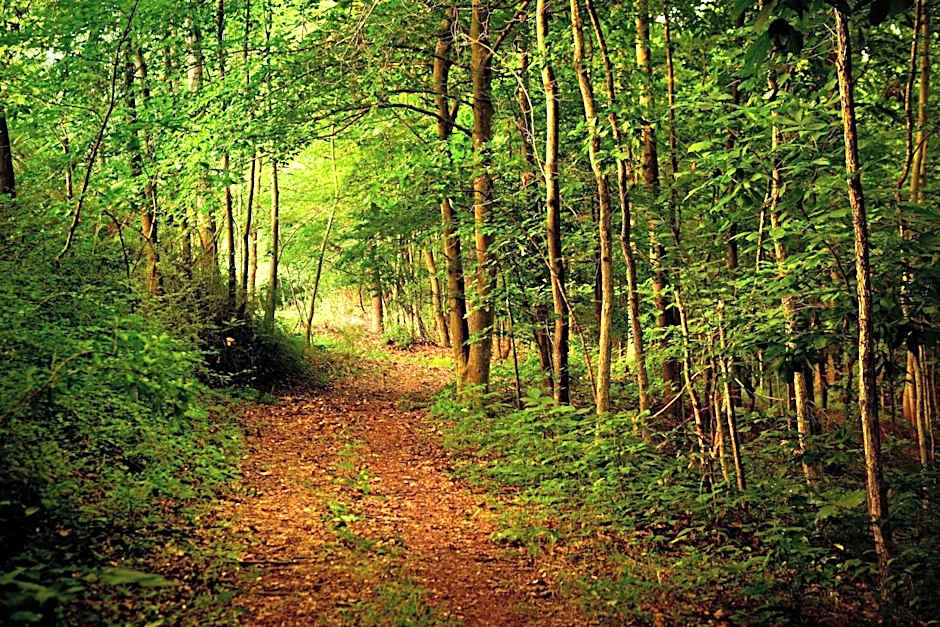 Westfields Marriott Washington Dulles