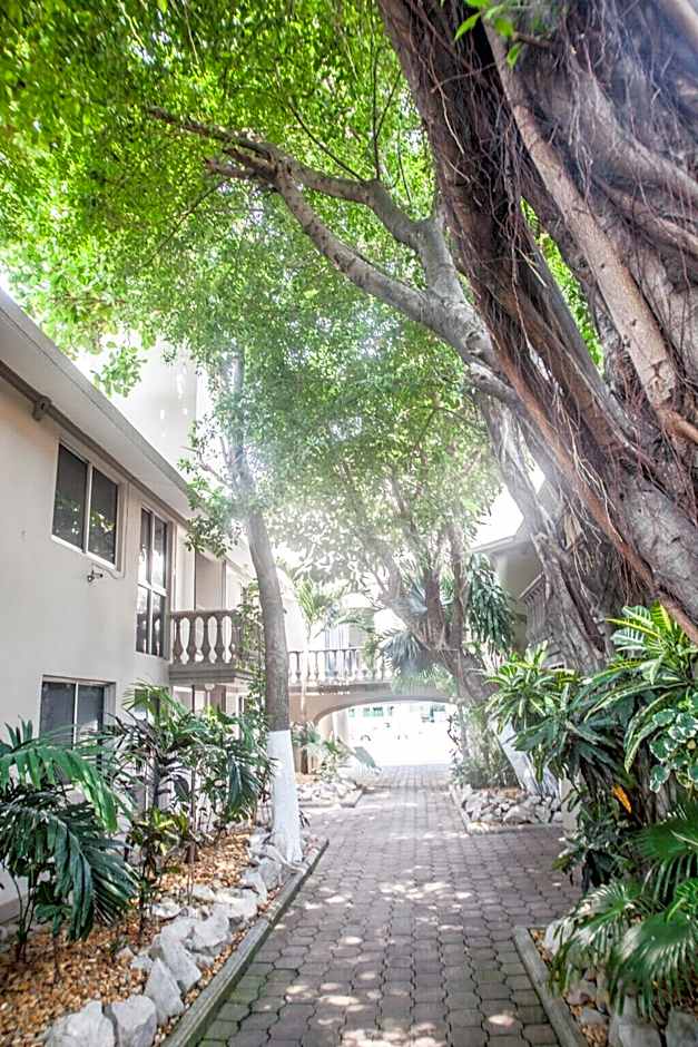 Suites Lafragua