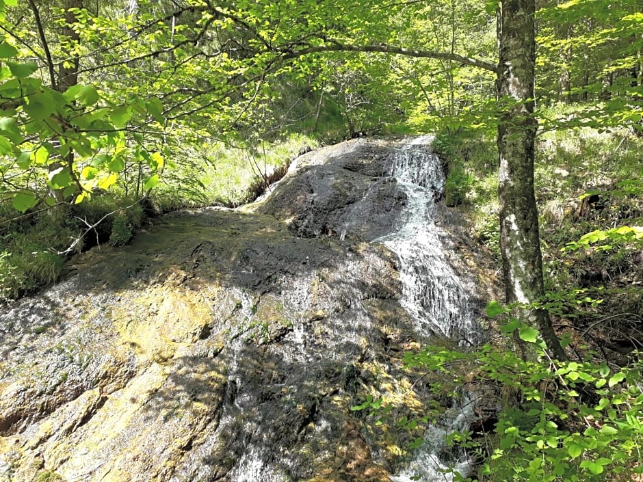 Sportlerhof - Alimann UaB