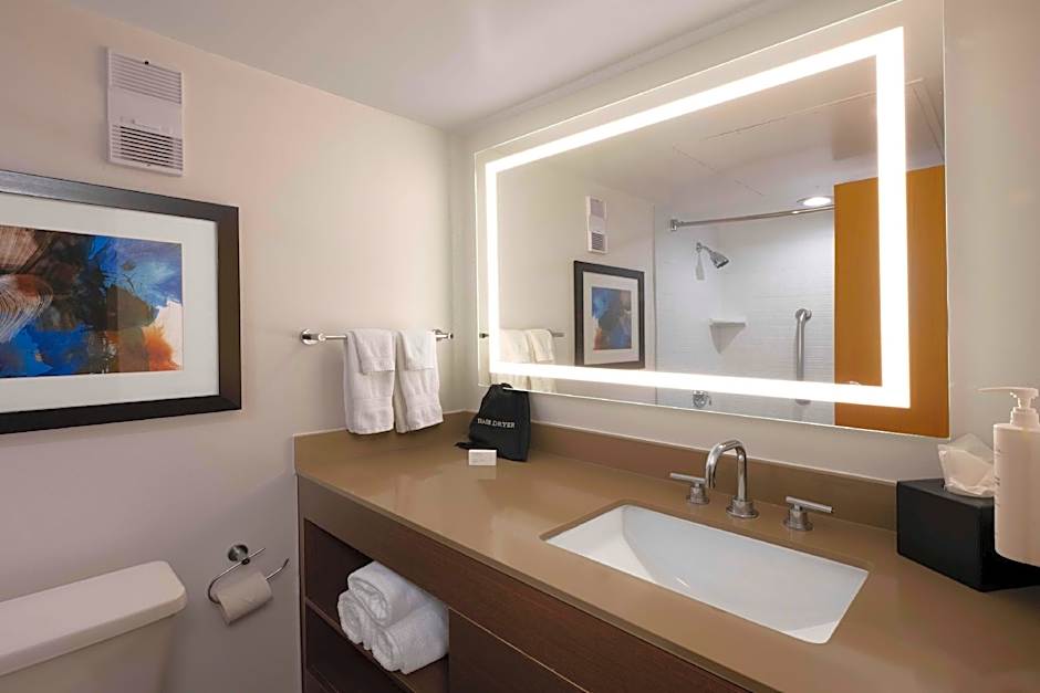 Embassy Suites by Hilton Dallas DFW Airport South