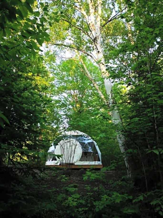 Dôme Forestier - Expérience Glamping détente