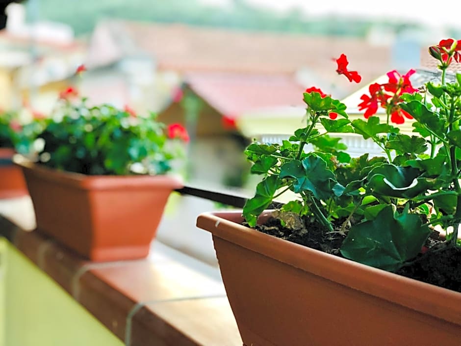 Il Terrazzino Iglesias