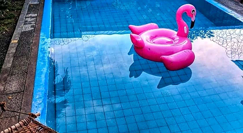 Lala Panzi Bed and Breakfast