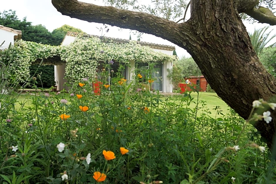 Studio au coeur de la petite camargue