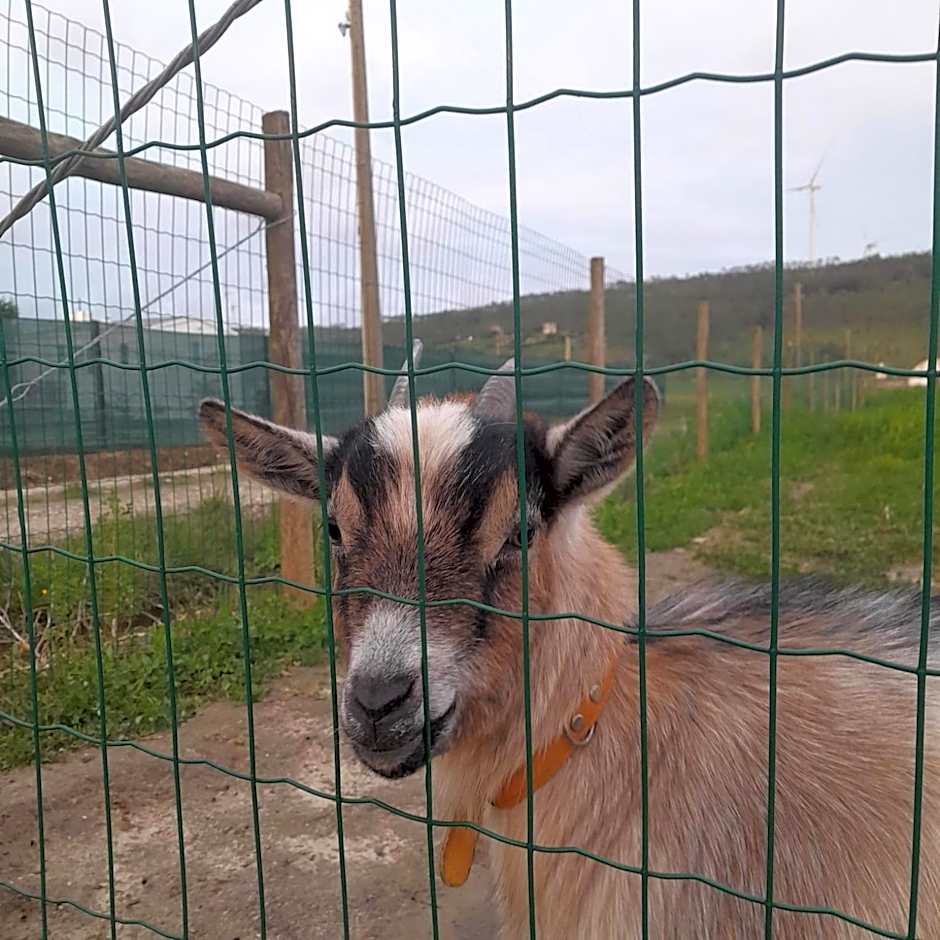 Casinhas dos Valados