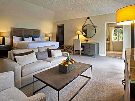 Villa Junior Suite with One King Bed and Garden View