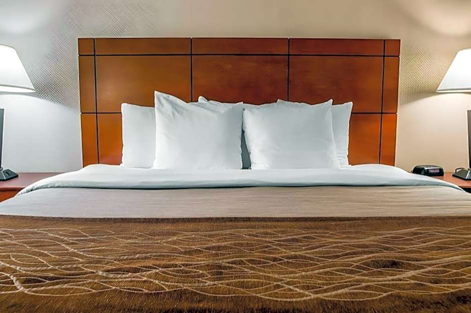 Comfort Inn & Suites University South