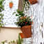 Hostal El Gallo
