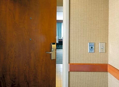 1 King Balcony Hearing Accessible