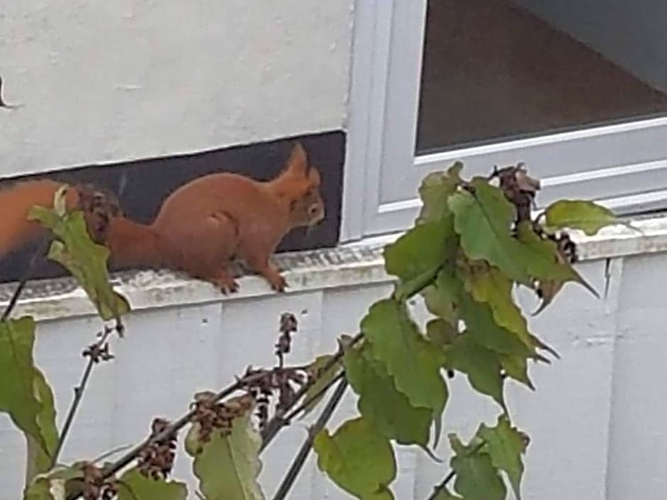 Kingsmede Bed & Breakfast