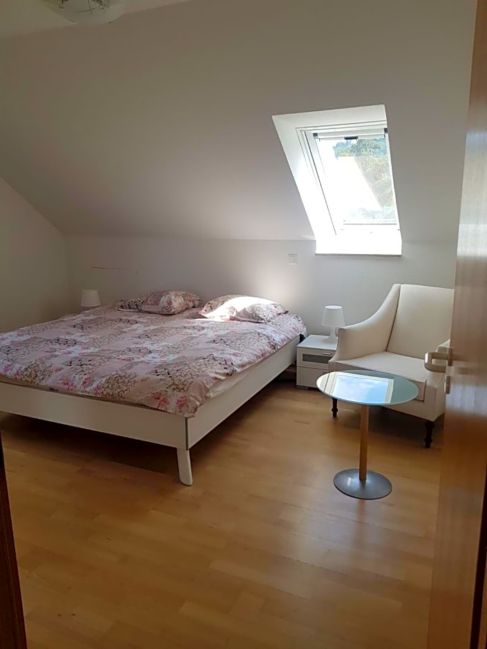 Zimmer Paradiso