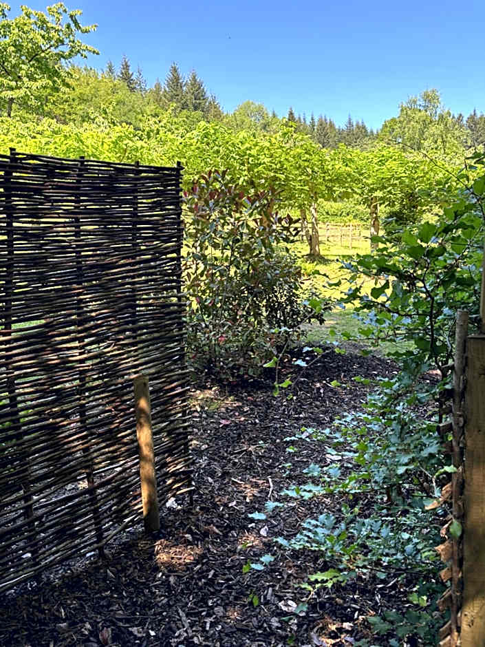 Shepherd’s delight